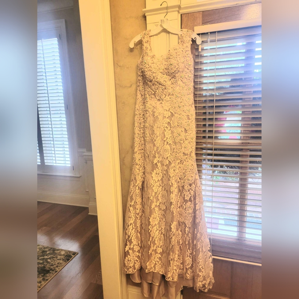 Mother of the Bride Dress Champaign Color Sz 8 VM Collection Nude - Picture 6 of 11